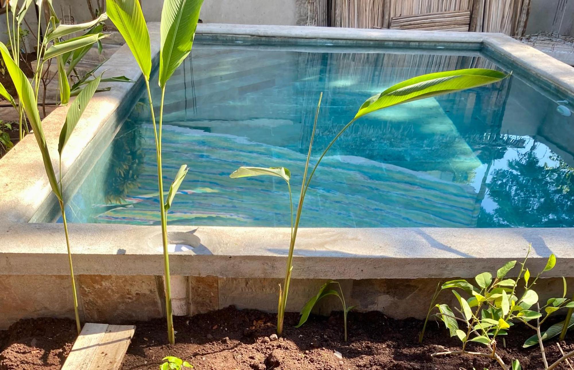 מלון אמבהטולואקה La Perle Rare De Nosy Be מראה חיצוני תמונה